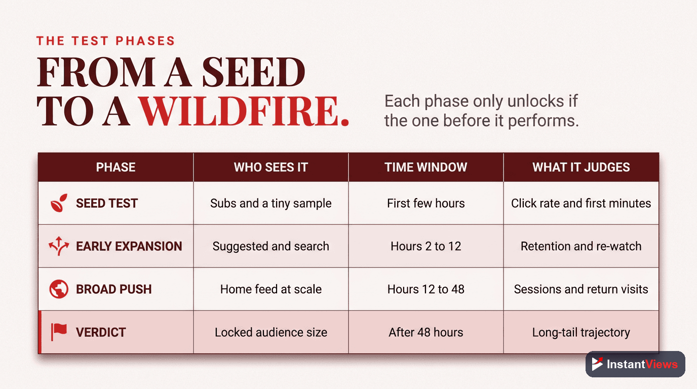 The Test Phases at a Glance