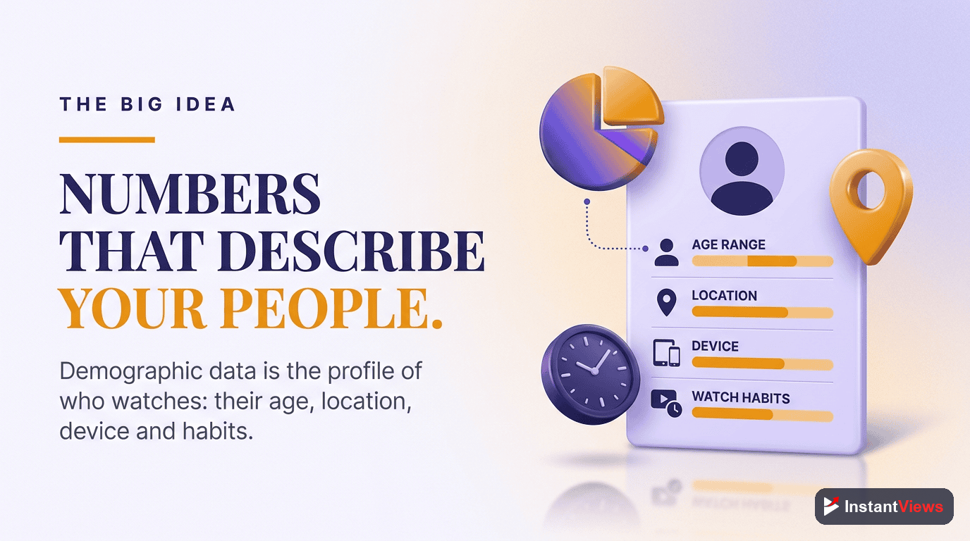 What is YouTube Demographic Data?
